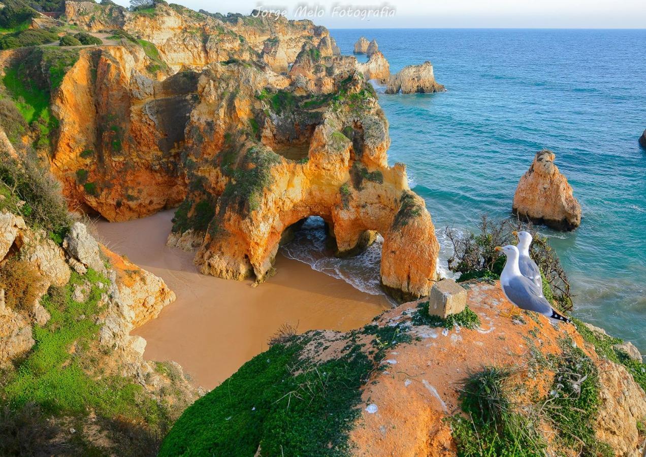 Vila Mos Lagos Ngoại thất bức ảnh